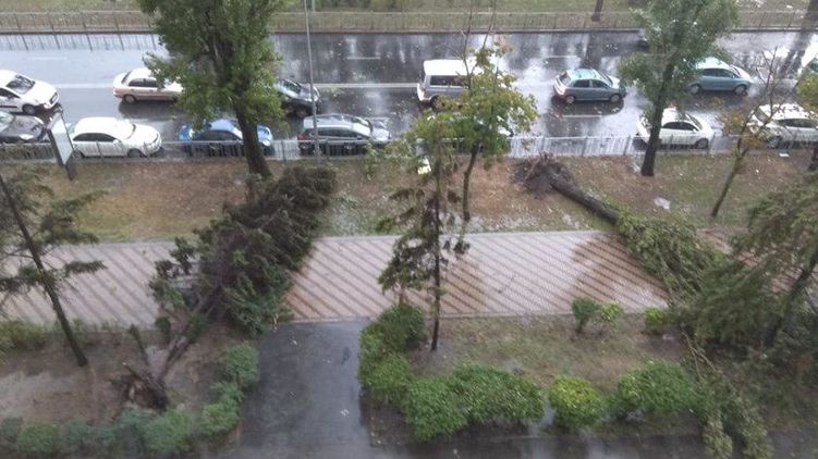 Буря в Киеве 8 августа. Фото: facebook.com