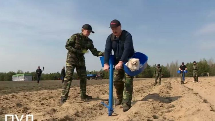 Бацька своим примером доказывает ненужность тотального карантина - объявил субботник и сам пошел в поля с собачкой. Фото: телеграм-канал