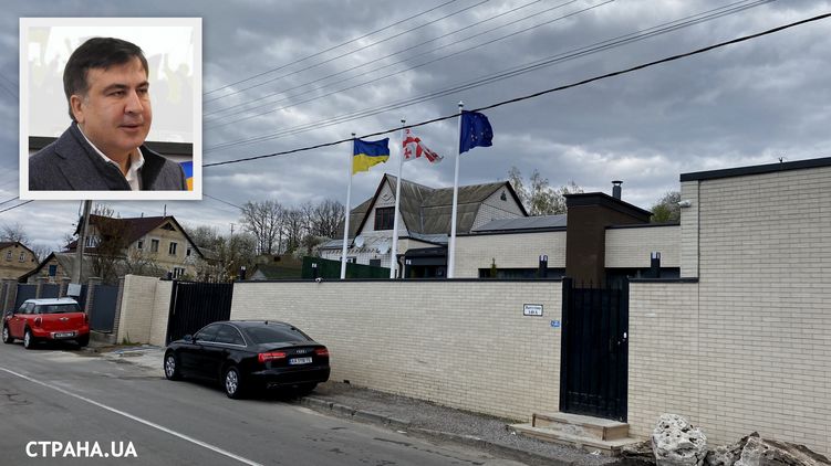 Михаил Саакашвили обосновался в селе Лесники под Киевом, фото: Варвара Квитка,