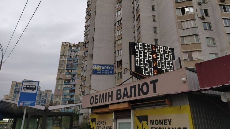 В кассах доллар вырос на 5 копеек. Фото: