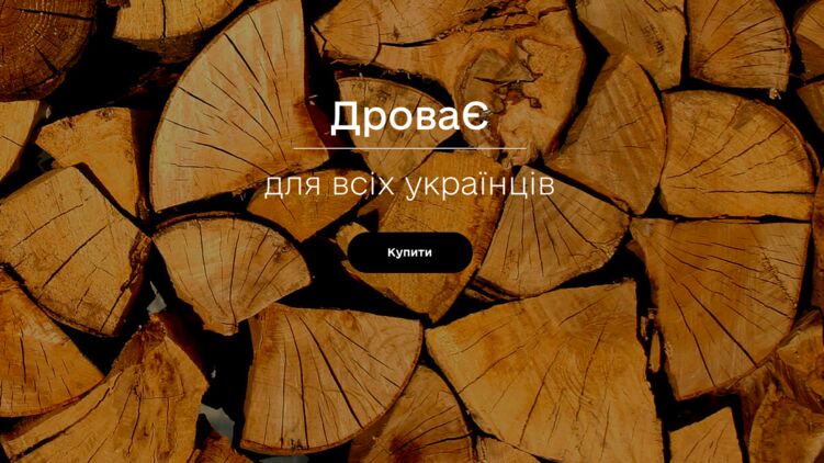 Как работает правительственный онлайн-магазин по покупке дров для населения. Эксперимент
