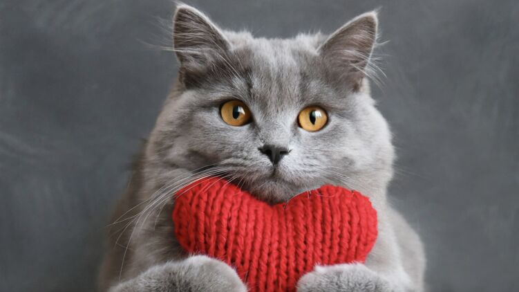 Листівка з нагоди Дня закоханих