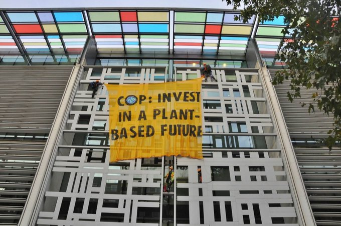 Зоозащитники вывесили баннер на здании МВД. Скриншот из твиттера RebelsAnimal