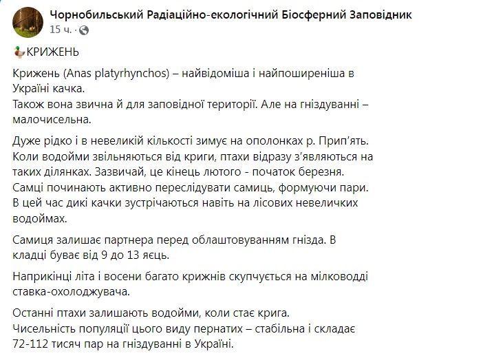 Скриншот из Фейсбука Чернобыльского заповедника 