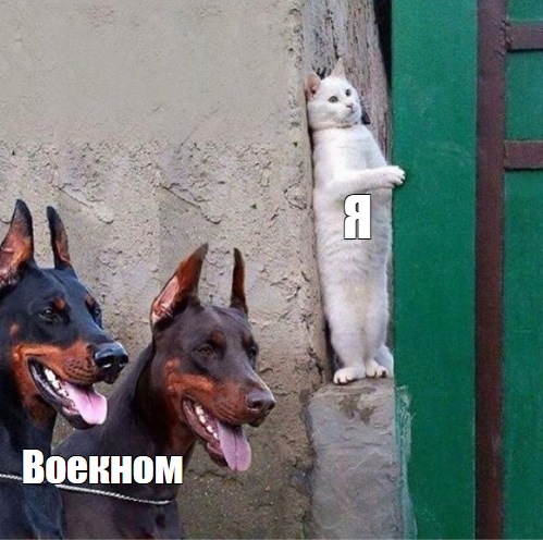 Фото:&nbsp;medialeaks.ru